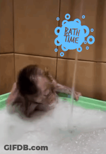 Child Bathing In Green Tub With Bath Time Sign GIF