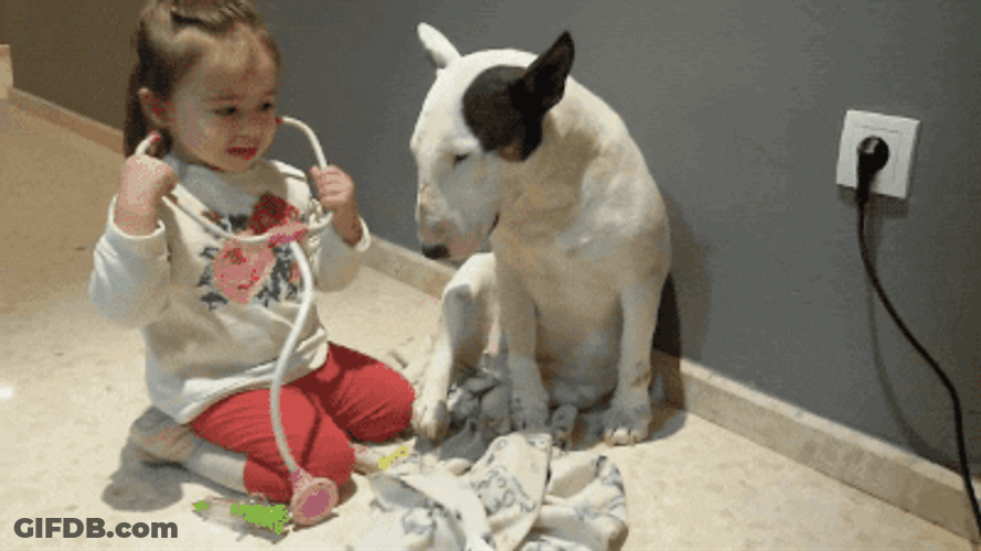 Child Doctor Checking Her Dog GIF