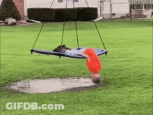 Child Doing Handstand On Swing GIF