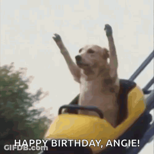 Child Holding Food Close Up GIF