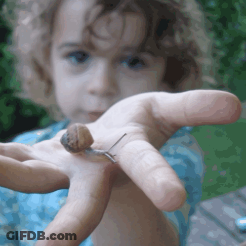Child Holding Small Snail GIF