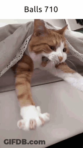 Child Holding Toy Saying Me Every Friday I Did It GIF