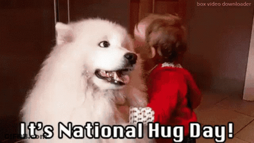 Child Hugging White Dog It's National Hug Day GIF