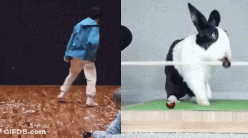 Child In Blue Jacket Walking With Black And White Bunny GIF