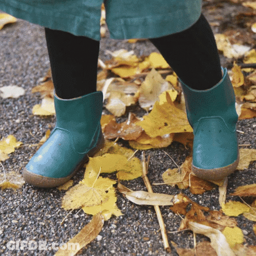 Child In Green Boots On Leaves GIF