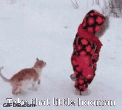 Child In Red And Black Plaid Jacket Standing In Snow Looking At Cat GIF
