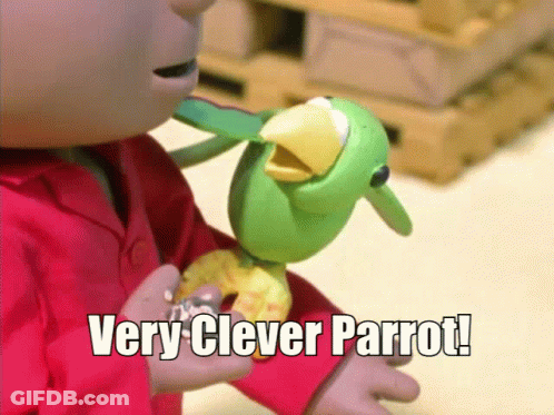 Child In Red Shirt Holding Clever Parrot GIF