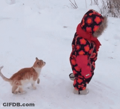 Child Playing With Cat In Snow GIF