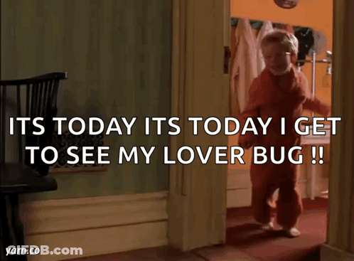 Child Saying Its Today Its Today I Get To See My Lover Bug !! GIF