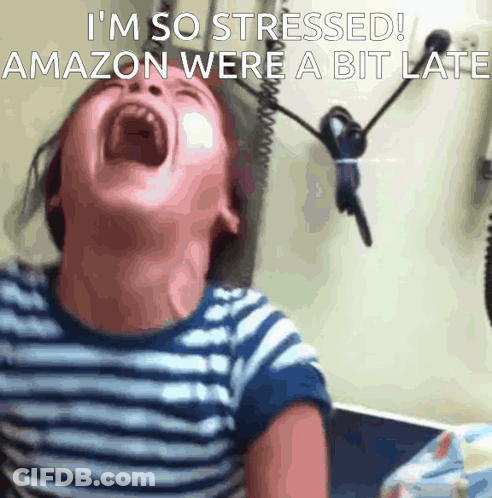 Child Screaming I'm So Stressed Amazon Were A Bit Late GIF