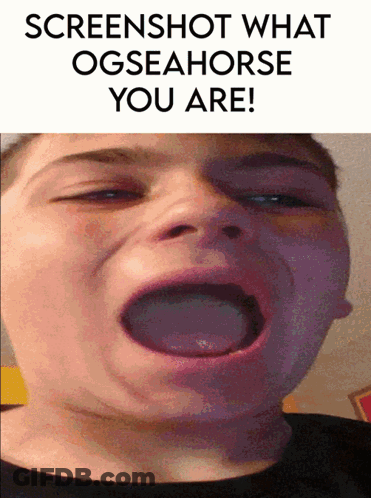 Child Screenshot Saying What Ogseahorse You Are GIF