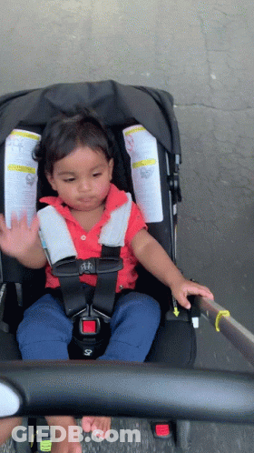 Child Sitting In Stroller With Warning Label GIF