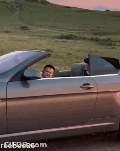 Child Sticking Head Out Car Window With Reebee86 GIF