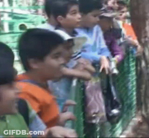 Children Standing Behind Fence GIF