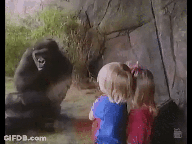 Children Watching Gorilla GIF