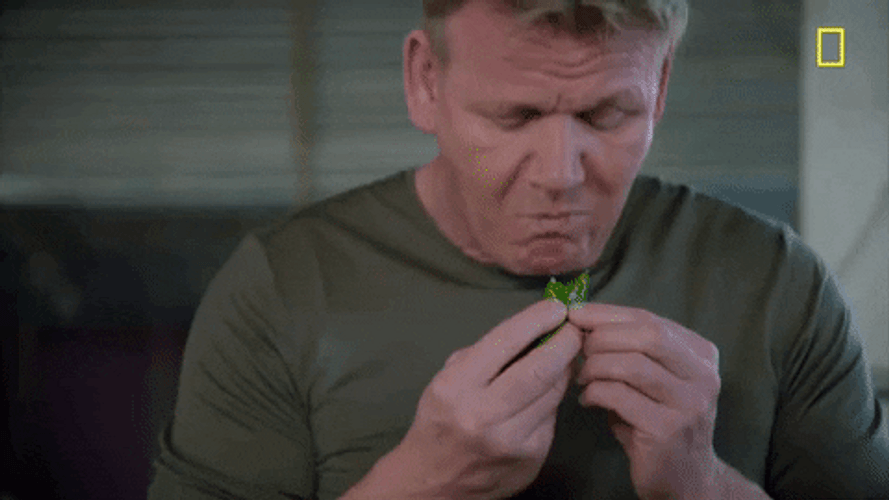 Chili From Laos GIF