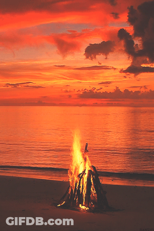 Chill Beach Sunset Bonfire GIF