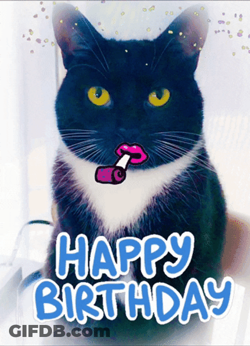 Chill Birthday Cat Blowing Horn GIF
