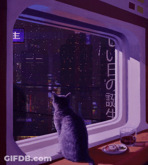 Chill Cat Window Rain Japan GIF