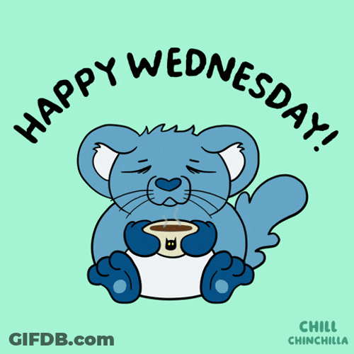 Chill Chinchilla GIF