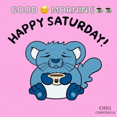 Chill Chinchilla GIF