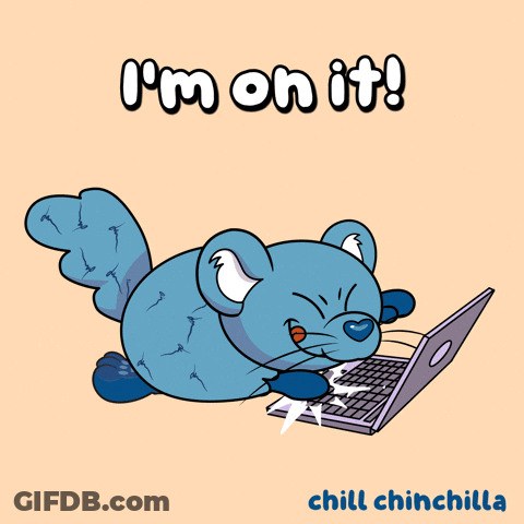 Chill Chinchilla Using Laptop GIF