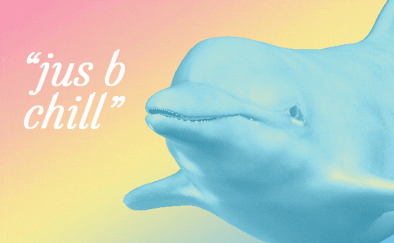 Chill Cute Aesthetic Pastel Dolphin GIF
