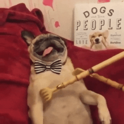 Chill Dog Body Scratch Goofy Meme GIF