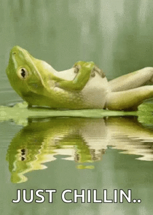Chill Frog Lily Floating Lake GIF