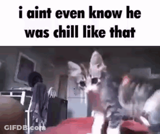 Chill GIF