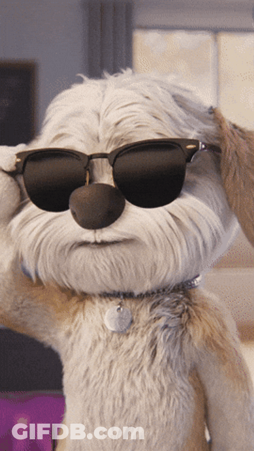 Chill Guy Clydeo Wearing Sunglasses GIF