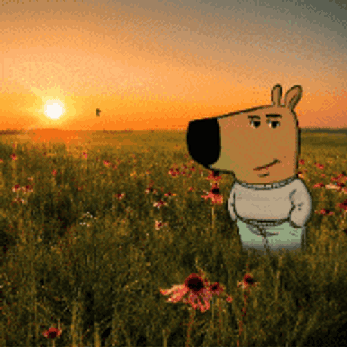 Chill Guy GIF