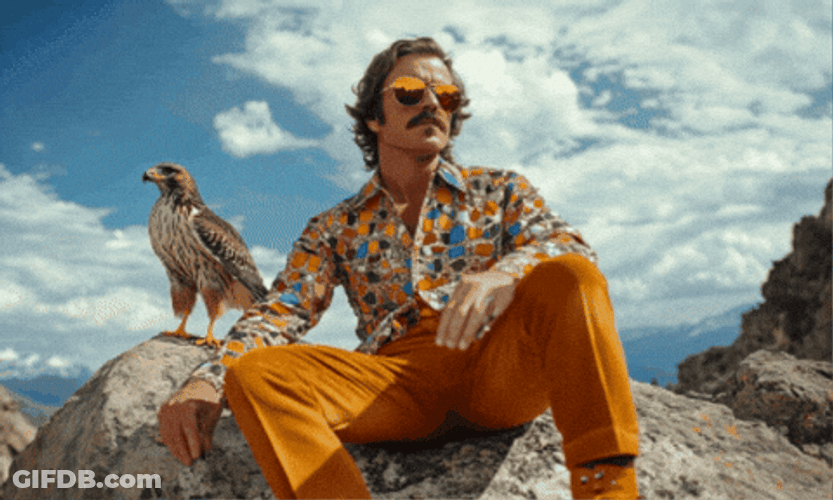 Chill Guy Hyramel Groover Sitting With Chill Bird GIF