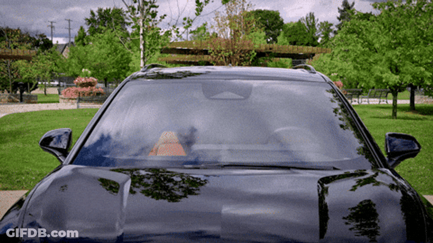 Chill Guy I've Got You Covered GIF