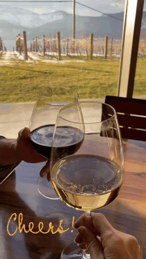 Chill Happy Birthday Wine Toast GIF