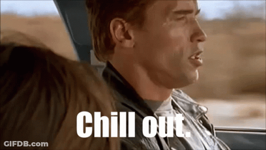 Chill Out Terminator Movie GIF