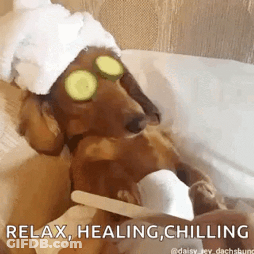 Chill Relax Healing Spa Dog GIF