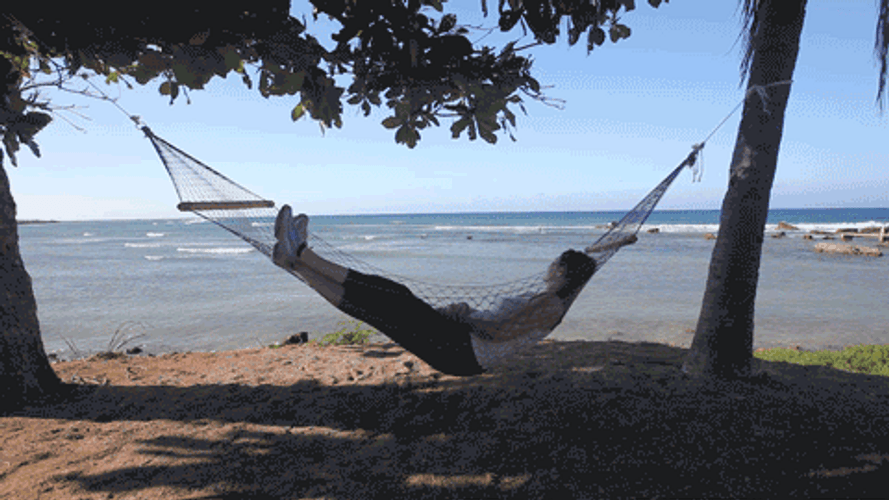 Chill Summer Beach Waves Hammock GIF