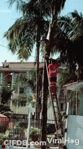 Chill Zone Sign GIF