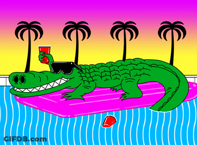 Chilling Alligator Wearing Sunglasses GIF