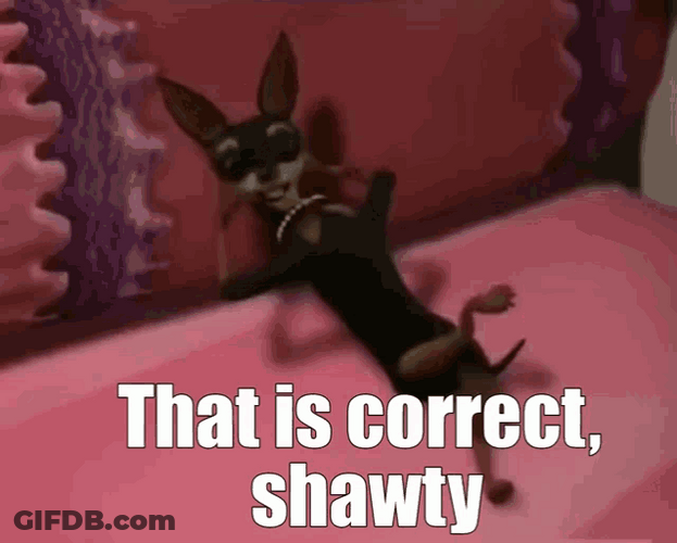 Chilling Cute Dog That Is Correct GIF