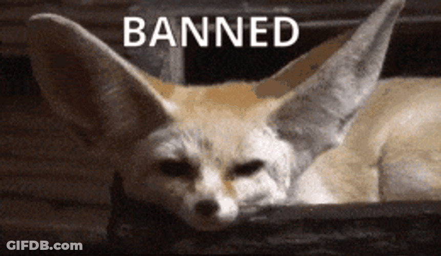 Chilling Fennec Fox Flicking Ears GIF