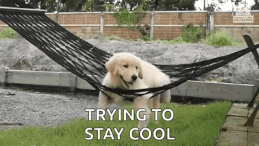 Chilling Relaxing GIF