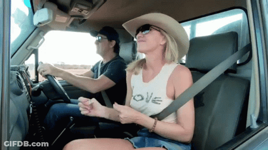 Chilling Ride In The Van GIF
