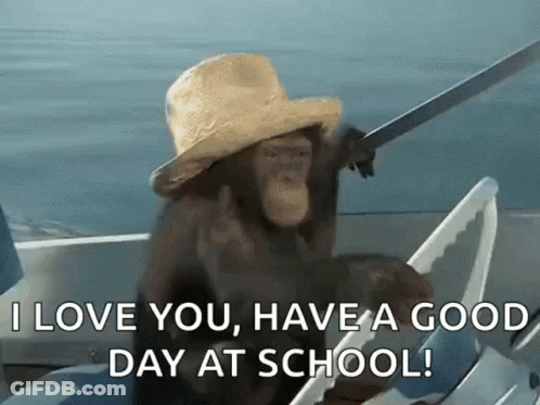 Chimp Chimpanzee GIF