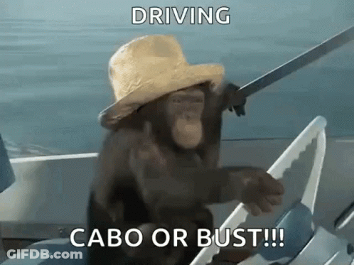 Chimpanzee Boating In Straw Hat Gives Middle Finger GIF