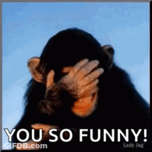 Chimpanzee Covering Face Saying You So Funny GIF