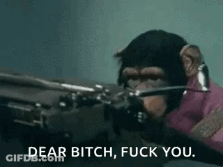 Chimpanzee Holding Gun Dear Bitch Fuck You GIF