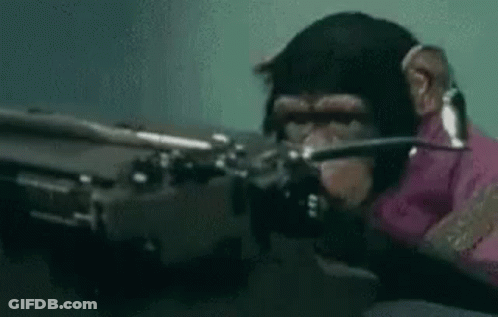 Chimpanzee Holding Gun In Mouth Wearing Pink Shirt GIF