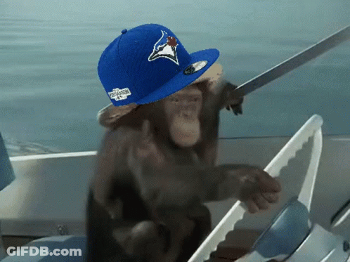 Chimpanzee In Blue Jays Hat Holding Sword GIF